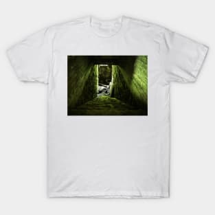 Ever Downward T-Shirt